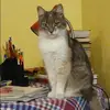 Отзыв от Ирина Львова